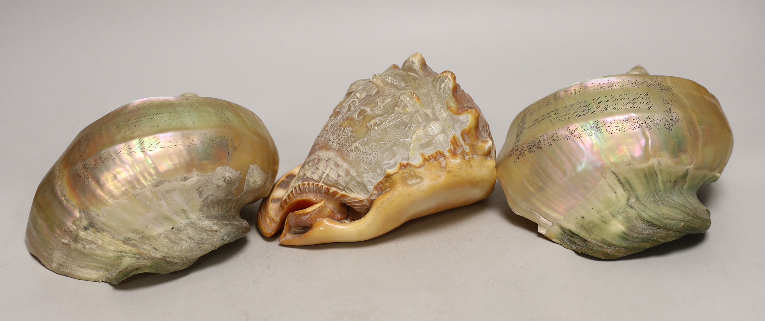 A 19th century Italian conch shell, engraved with grape picking and a town view, and a pair of 19th century mother-of-pearl shells engraved with poems (3)